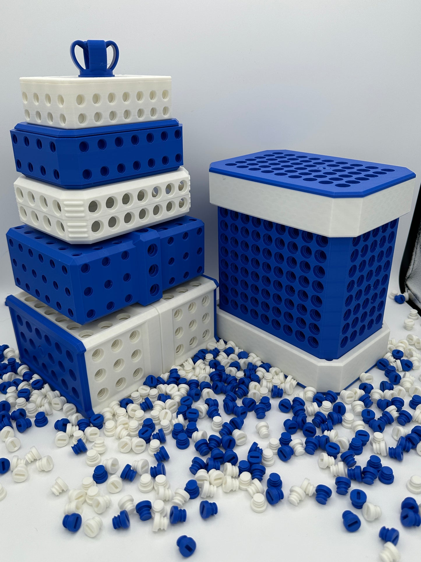 Extremely Annoying Gift Box w/ 666 bolts - Multiple Color Combinations