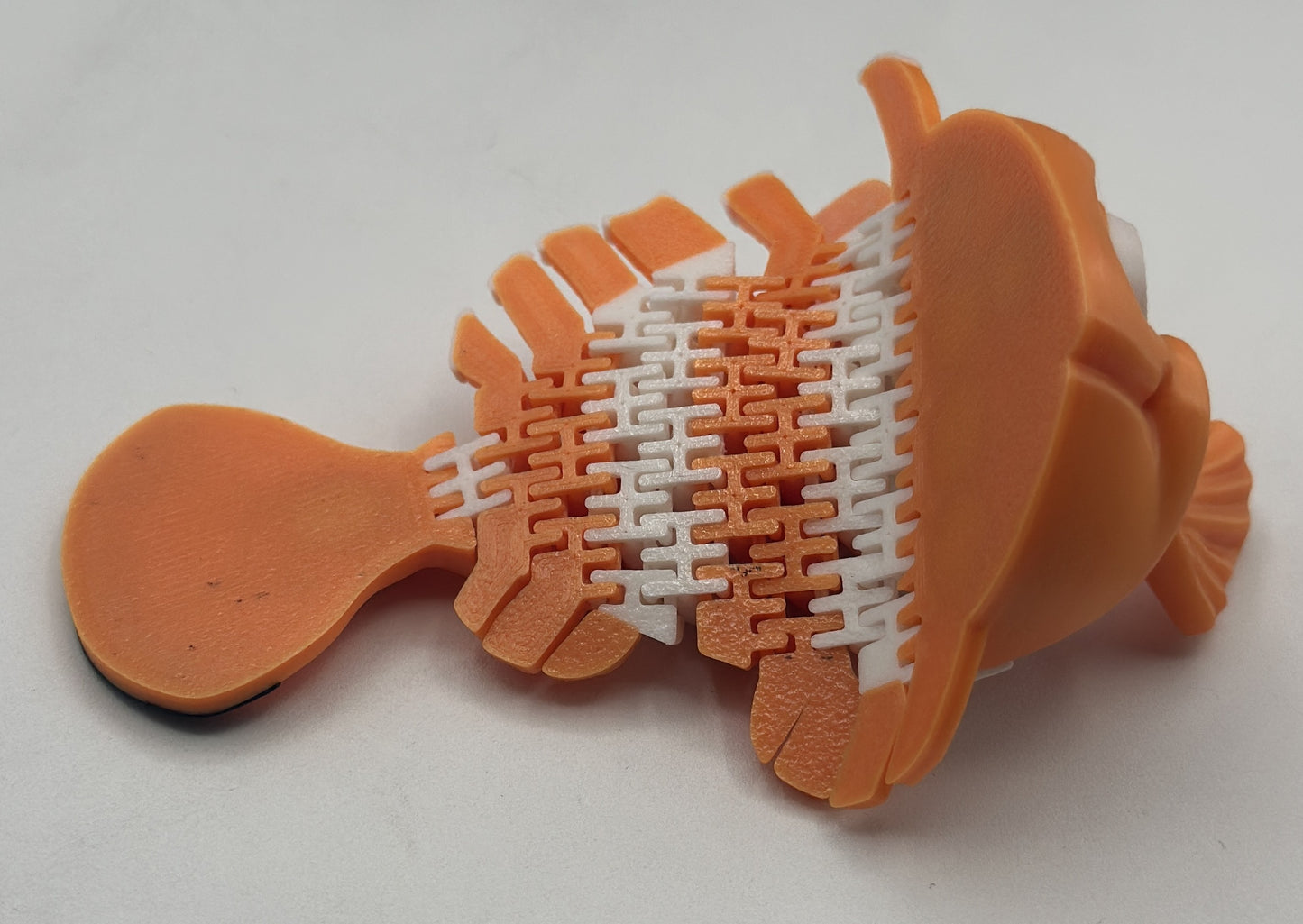 Clownfish Dual-Fidget Refrigerator Magnet