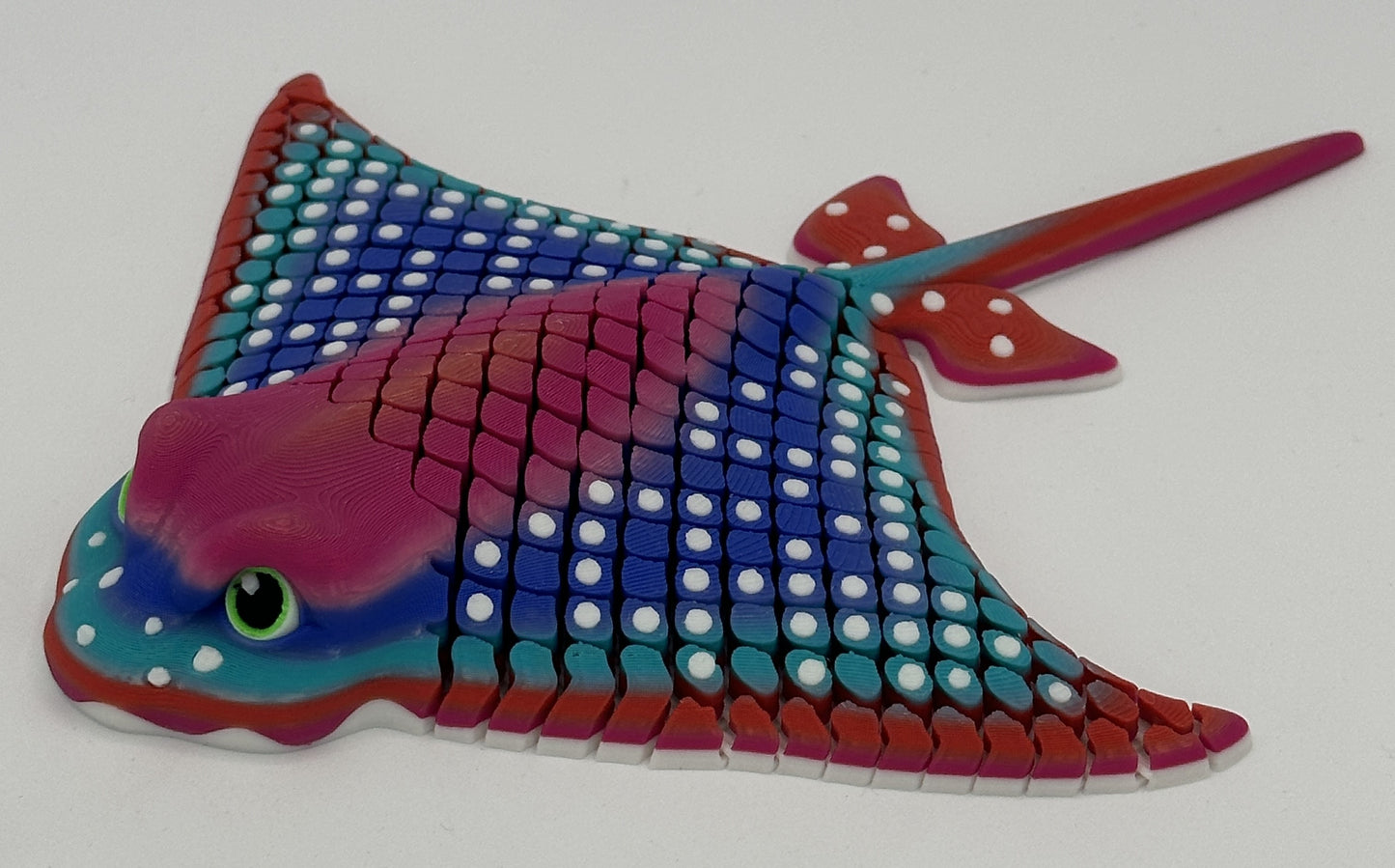 Igor the Spotted Eagle Ray, Rainbow #6