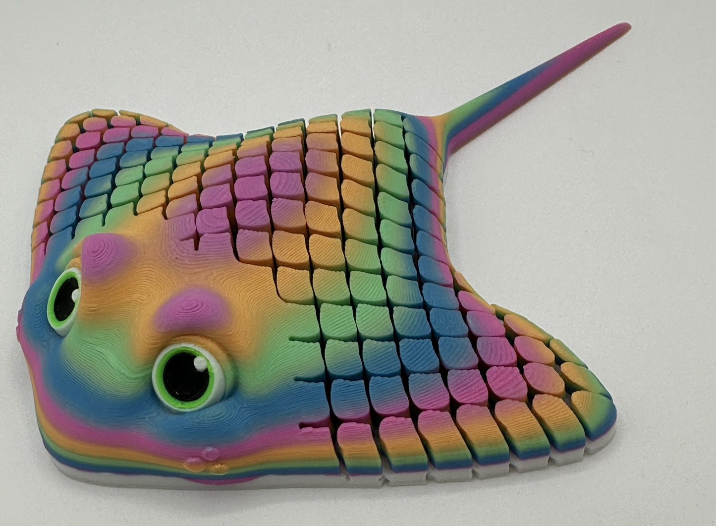 Ray the Manta Ray, Rainbow #2