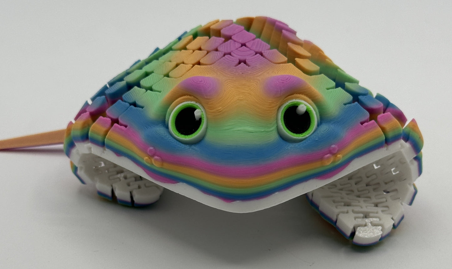 Ray the Manta Ray, Rainbow #2