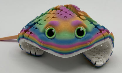 Ray the Manta Ray, Rainbow #2