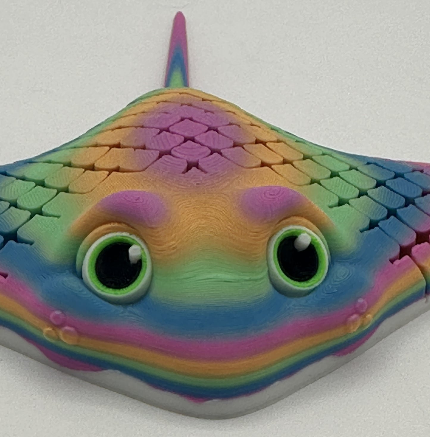 Ray the Manta Ray, Rainbow #2