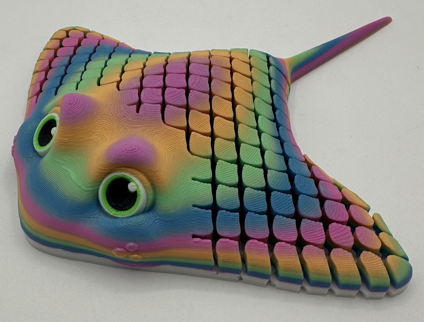 Ray the Manta Ray, Rainbow #2