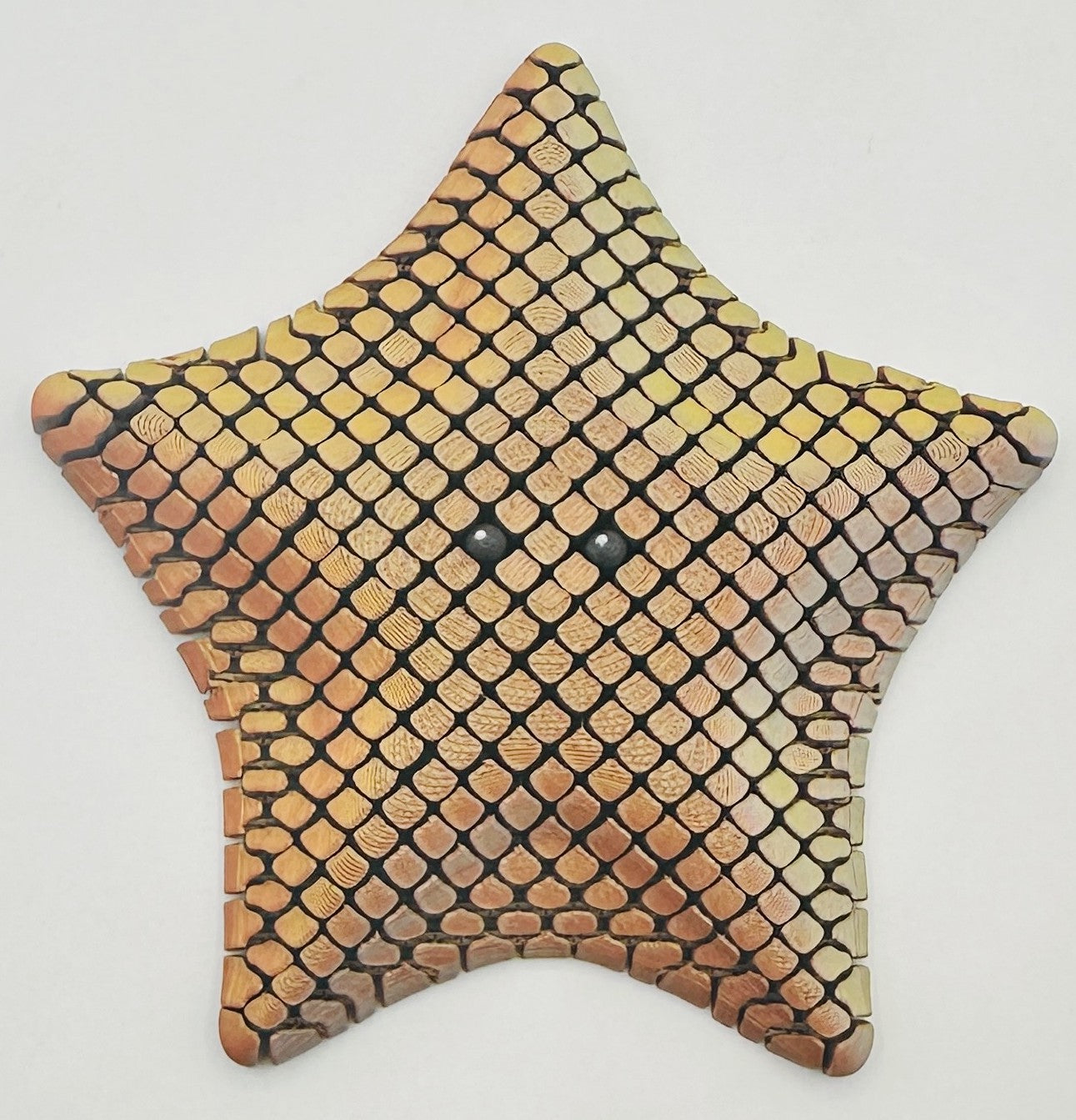 Starfish - 5" Flexi Fidget