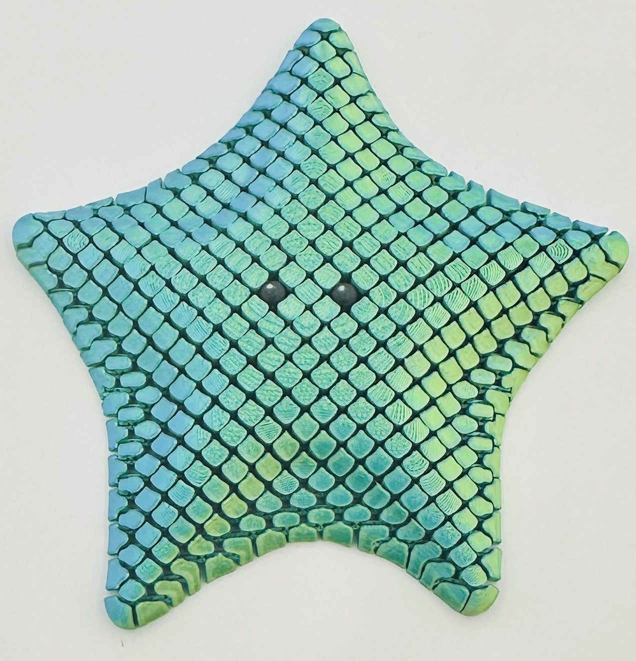 Starfish - 5" Flexi Fidget