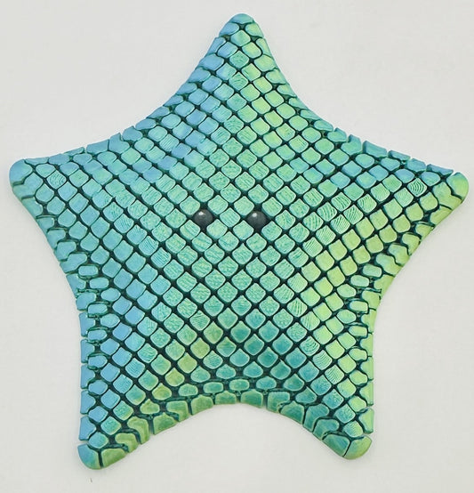 Starfish - 5" Flexi Fidget