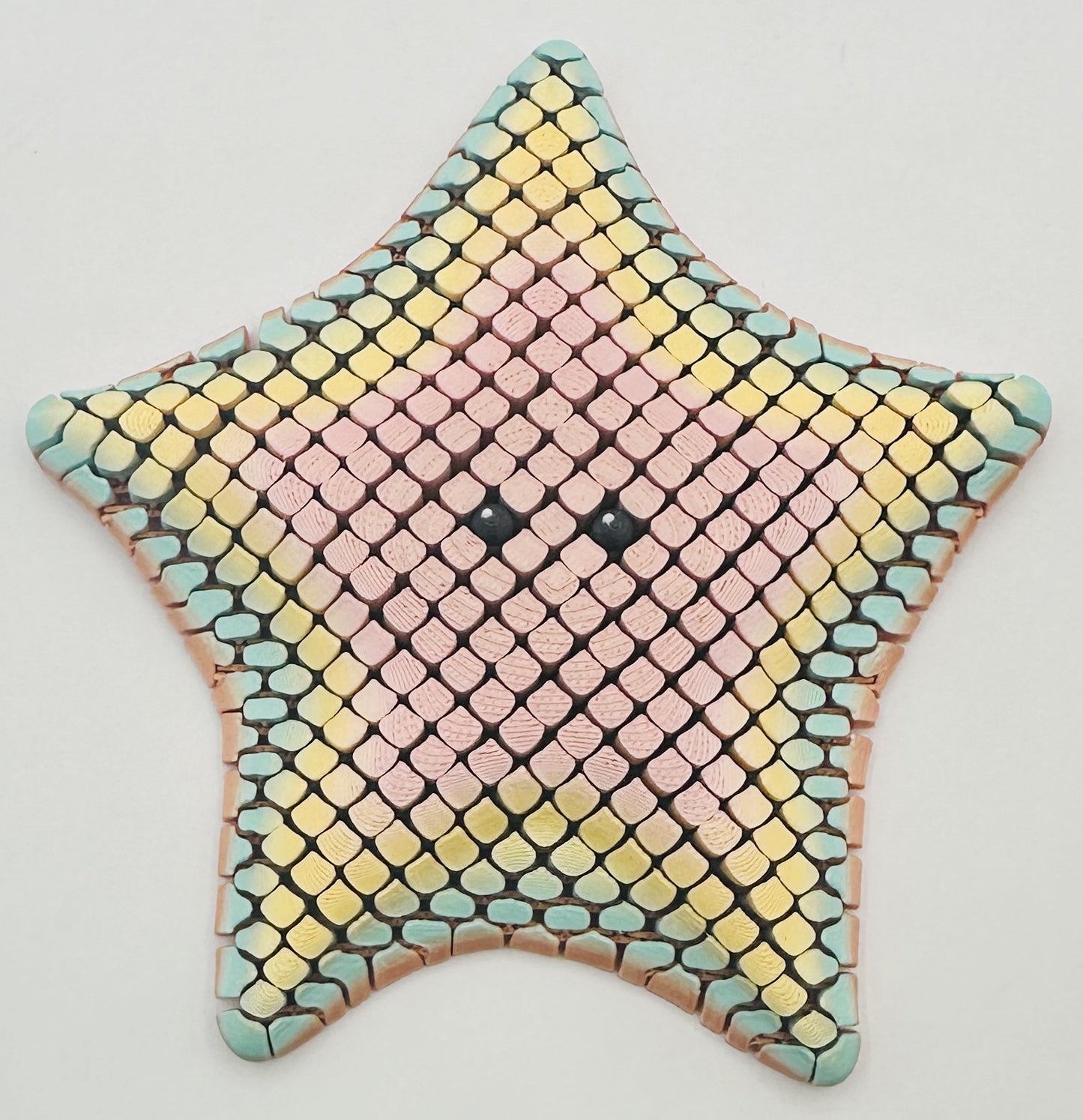 Starfish - 5" Flexi Fidget
