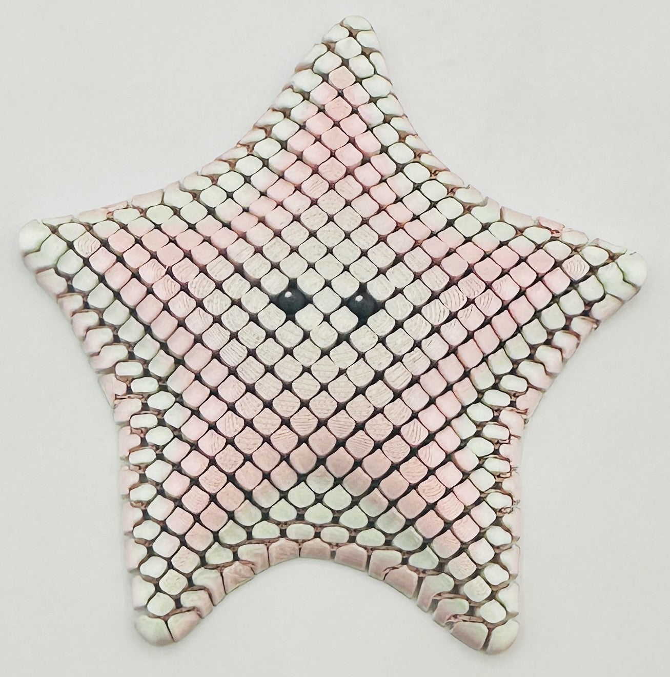 Starfish - 5" Flexi Fidget